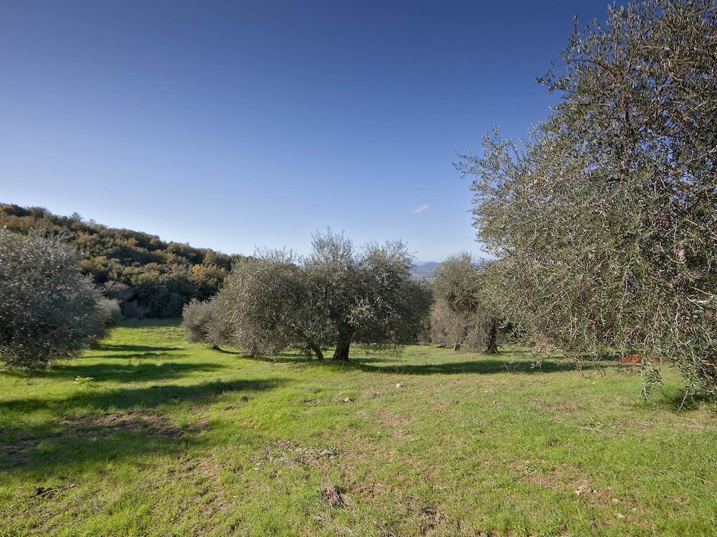 Tenuta La Silva Seggiano Kültér fotó