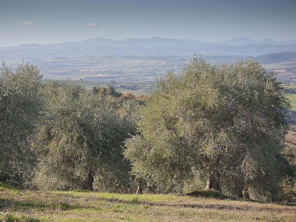 Tenuta La Silva Seggiano Kültér fotó