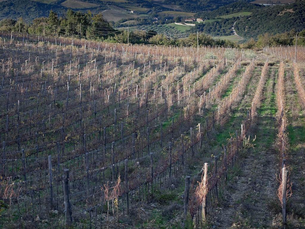 Tenuta La Silva Seggiano Kültér fotó